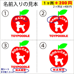 ボストンテリアのドッグインカ―かわいいアップルのステッカー‼ 2枚目の画像