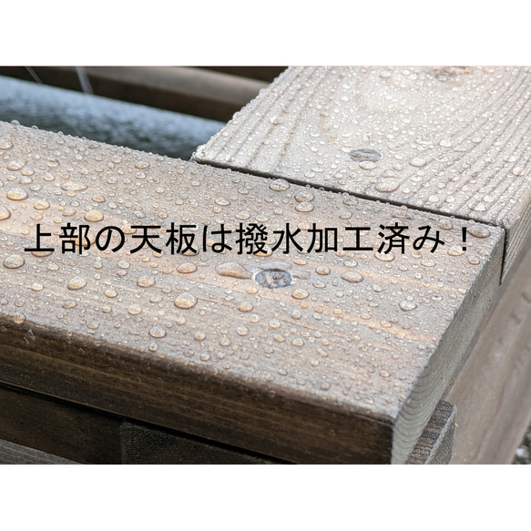 高さの有るビオトープ　80L　トロ舟＆木枠セット（3D型防鳥網付き・棚付き） 8枚目の画像