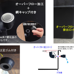 高さの有るビオトープ　80L　トロ舟＆木枠セット（3D型防鳥網付き・棚付き） 13枚目の画像