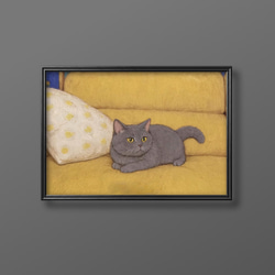絵画。原画【かわいい白い猫が夜に梯子を登って光る星を集める