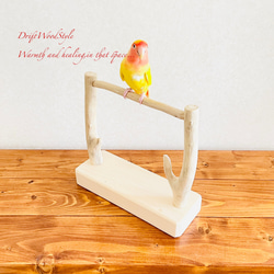 流木インテリア  小～大型インコが止まれる天然流木の小鳥の止まり木 スタンドタイプ インコ オウム 鳥 自然木 N13 4枚目の画像