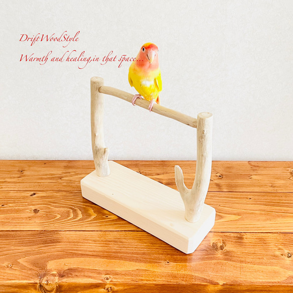 流木インテリア  小～大型インコが止まれる天然流木の小鳥の止まり木 スタンドタイプ インコ オウム 鳥 自然木 N13 4枚目の画像