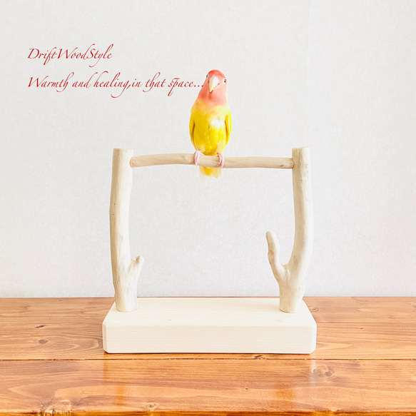流木インテリア  小～大型インコが止まれる天然流木の小鳥の止まり木 スタンドタイプ インコ オウム 鳥 自然木 N13 1枚目の画像
