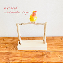 流木インテリア  小～大型インコが止まれる天然流木の小鳥の止まり木 スタンドタイプ インコ オウム 鳥 自然木 N14 2枚目の画像