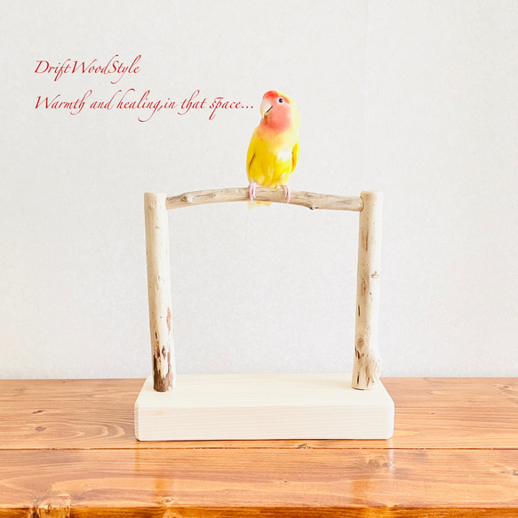 流木インテリア  小～大型インコが止まれる天然流木の小鳥の止まり木 スタンドタイプ インコ オウム 鳥 自然木 N14 1枚目の画像