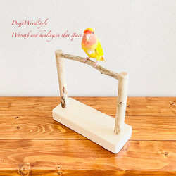 流木インテリア  小～大型インコが止まれる天然流木の小鳥の止まり木 スタンドタイプ インコ オウム 鳥 自然木 N14 4枚目の画像