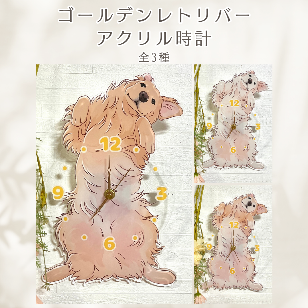 ゴールデンレトリバーアクリル時計【送料無料】