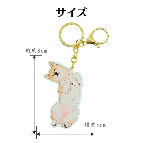 へそ天】柴犬アクリルキーホルダー【送料無料】 その他アクセサリー