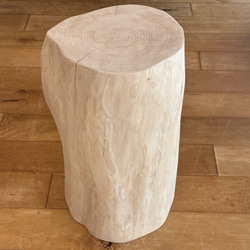 【Pet Table Hinoki ~XL~】 No.1240 Pet Table Hinoki ~XL~】 No.1240