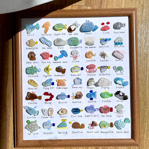 シーグラスアート☆No170図鑑 ギフト プレゼント インテリア 海の