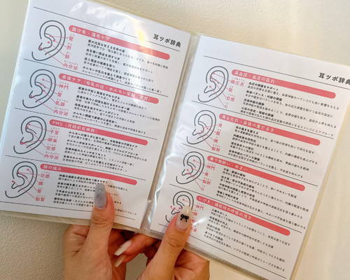 耳ツボジュエリー | 耳ツボ辞典 | 112通り＋αの症状 | B6サイズ 耳ツボジュエリー | 耳ツボ辞典 | 112通り＋αの症状 | B6サイズ
