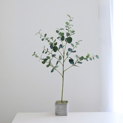 ユーカリ 丸葉 フェイクグリーン 80cm 枝もの コンクリート鉢 観葉植物