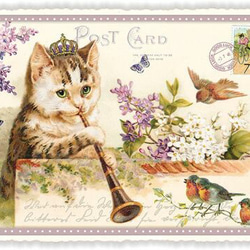 ✿1901年撮影のノスタルジックなステレオビューカード 立体写真 その他