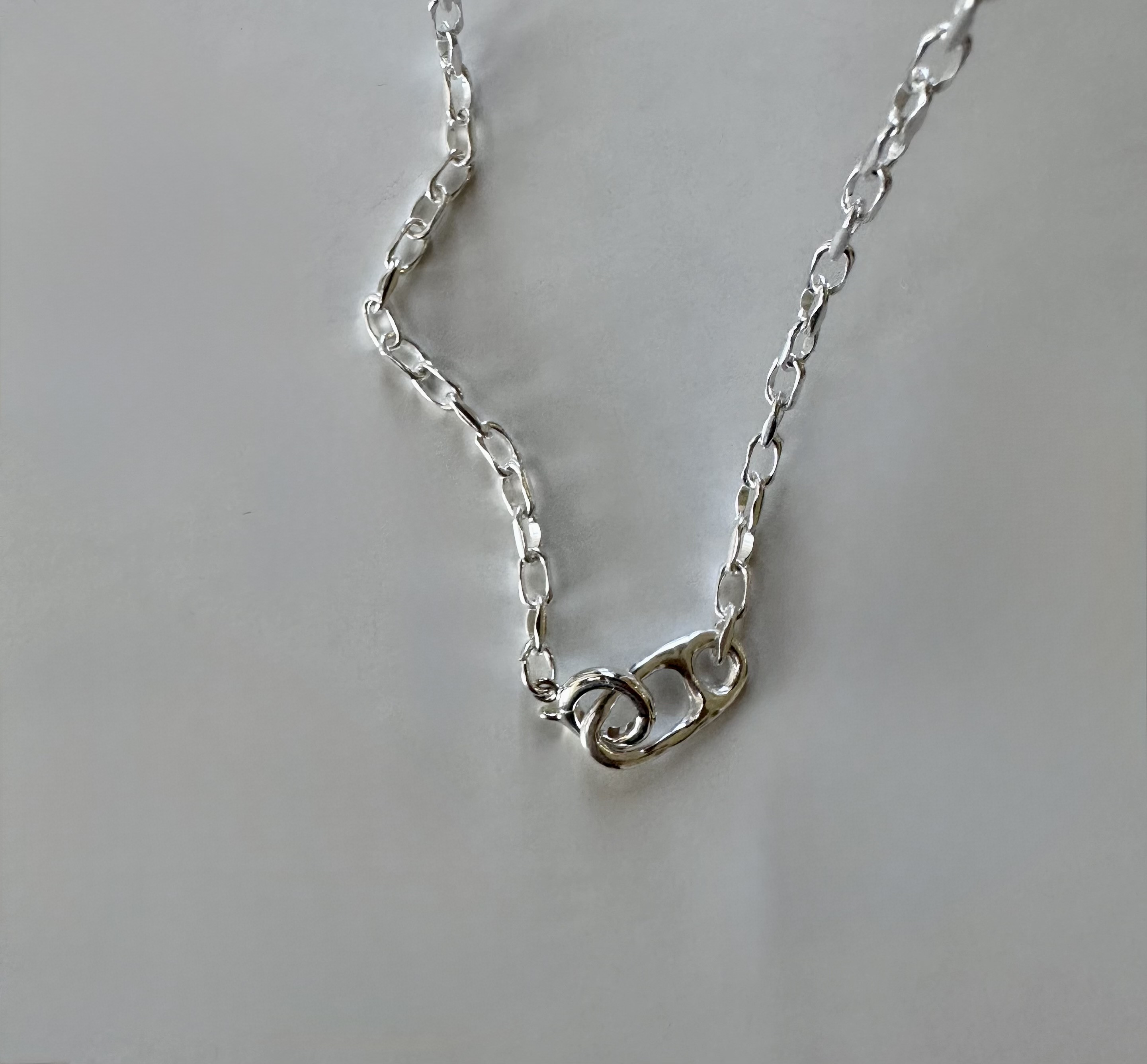 sv925　anchor clasp　small deformation necklace