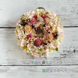 春待ち＊桜色のスターチスと帝王貝細工のナチュラルリース 春待ち＊桜色のスターチスと帝王貝細工のナチュラルリース 春待ち