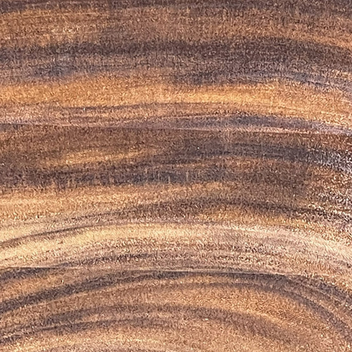 モンキーポッド　M044　一枚板　乾燥材　カウンター　テーブル　DIY　天板 モンキーポッド C004 輪切り 一枚板 乾燥材 棚板 カウンター