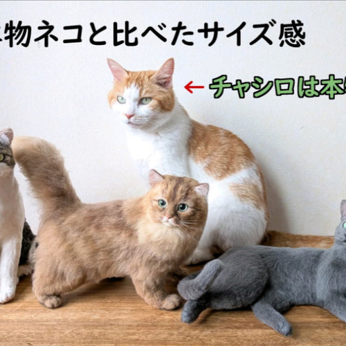 羊毛フェルト◇うちの子◇猫 オーダー リアル ネコ 全身タイプ ペット