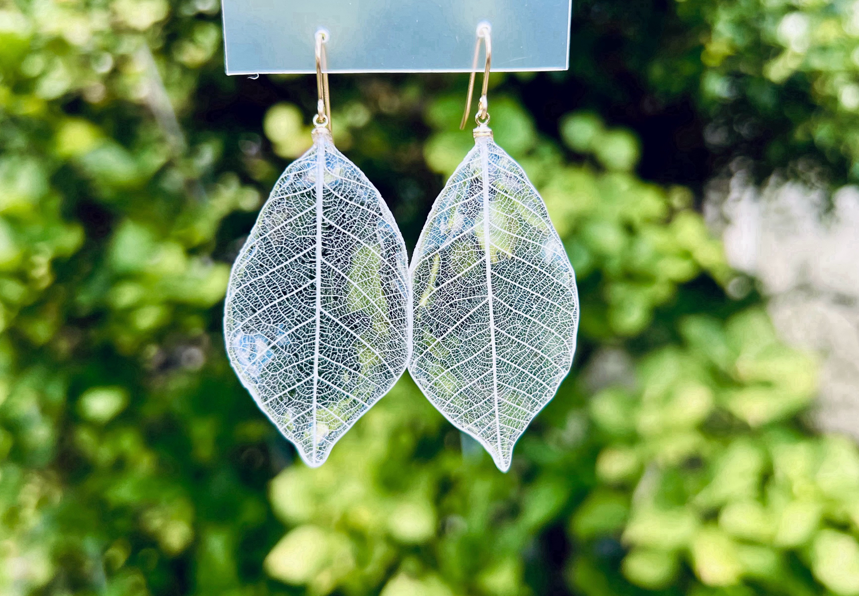 透明な葉脈 クリアリーフ (14kgfピアス/イヤリング)