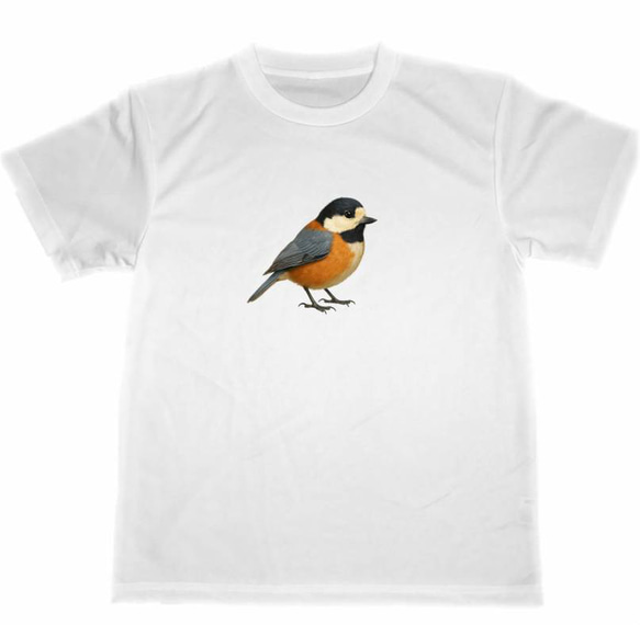 ドライ Tシャツ ヤマガラ 野鳥 バードウォッチング アニマル グッズ T