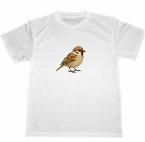 ドライ　Tシャツ　スズメ　雀　野鳥　バードウォッチング　アニマル　グッズ 1枚目の画像