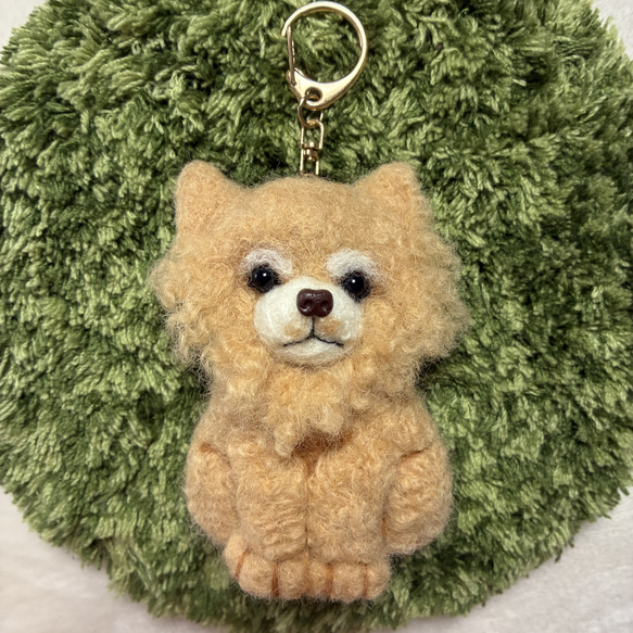 羊毛フェルト　チワワ 羊毛フェルト チワワ ハンドメイド 犬 - メルカリ