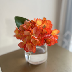 秋限定2025 秋色 枯れないお花 マジカルウォーターアレンジ オレンジ