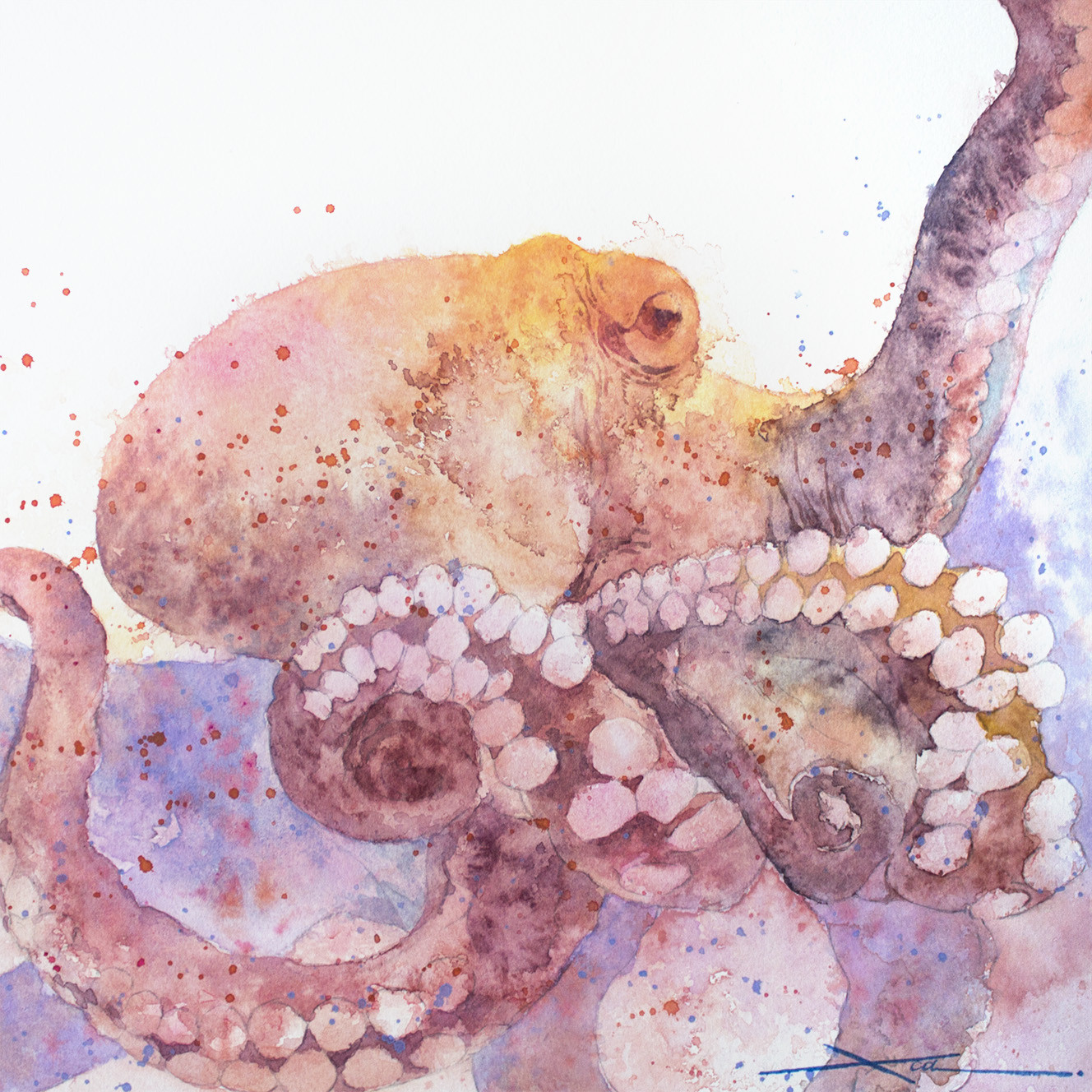 擬態_水彩原画_イラスト