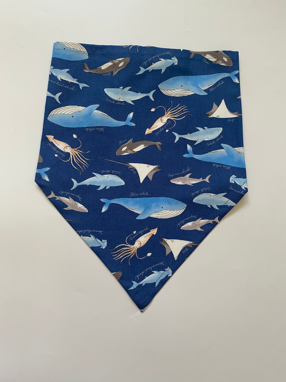 海の生き物くじら柄☆130〜140こどもエプロン、三角巾、巾着3点セット　 4枚目の画像