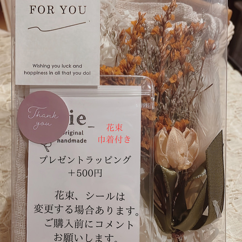 組曲ピアス　アクアマリンハート fi-5029-1.jpg