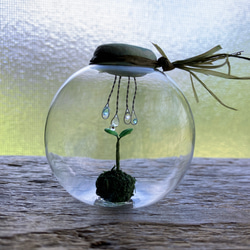 9688.bud 雨模様 6枚目の画像