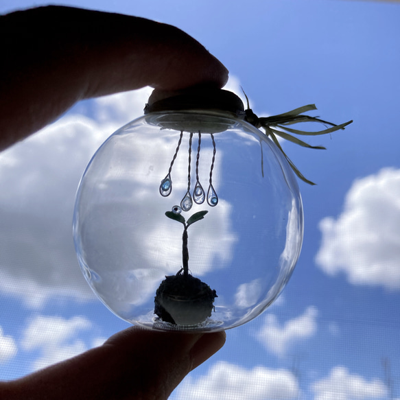 9688.bud 雨模様 8枚目の画像