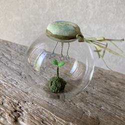 9688.bud 雨模様 3枚目の画像