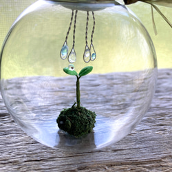 9688.bud 雨模様 7枚目の画像