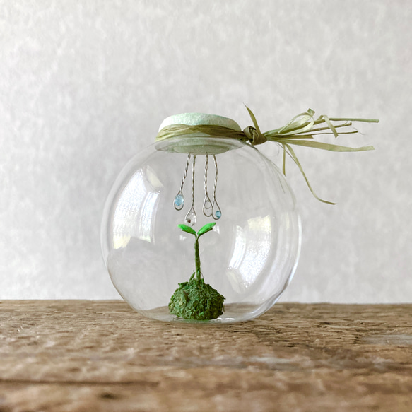 9688.bud 雨模様 1枚目の画像