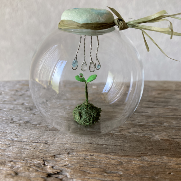 9688.bud 雨模様 2枚目の画像