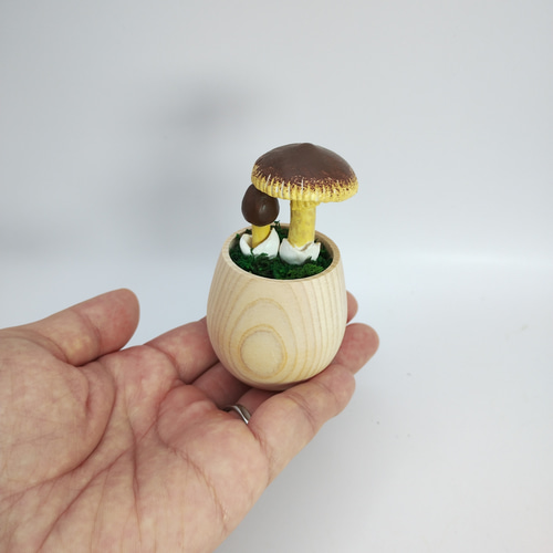 カップきのこ チャタマゴタケ その他インテリア雑貨 みもみよ 通販