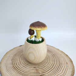 カップきのこ タマゴタケ その他インテリア雑貨 みもみよ 通販