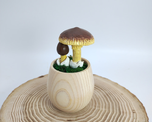 きのこ f85ed016c6fdc323bc02270f049f4a