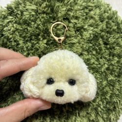 うるうるアフロトイプードル 毛糸キーホルダー＊クリームホワイト