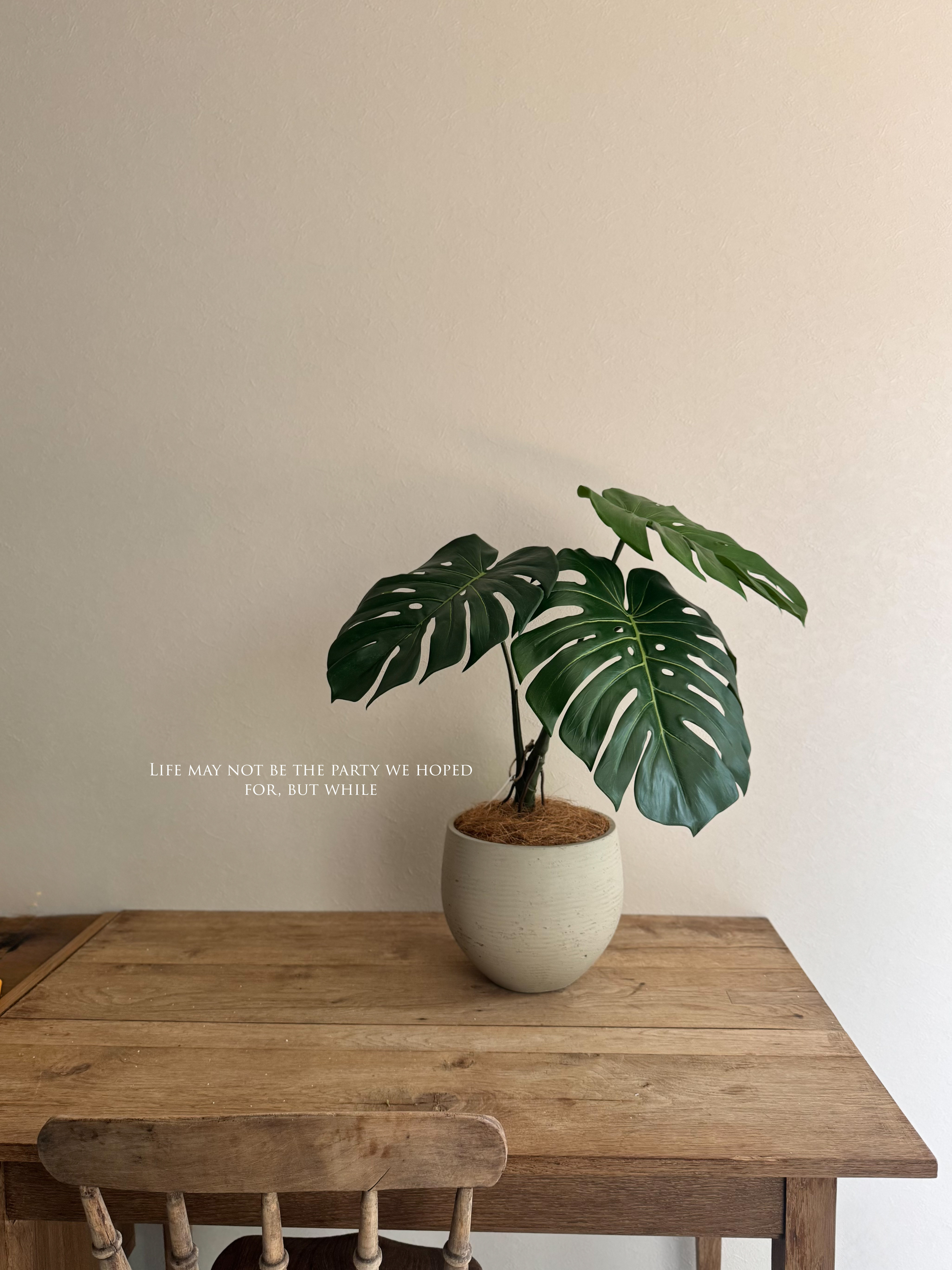 【モンステラ】造花  フェイクグリーン