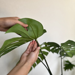  第7張的照片
