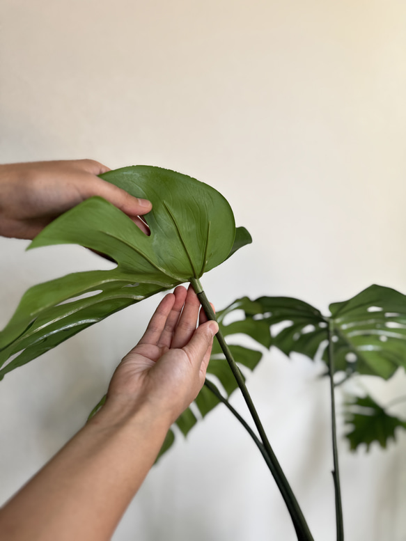  第7張的照片