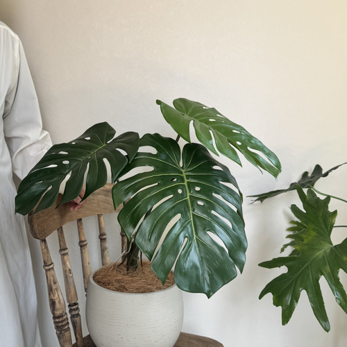 モンステラ】造花 フェイクグリーン 多肉植物 flowershop28 通販