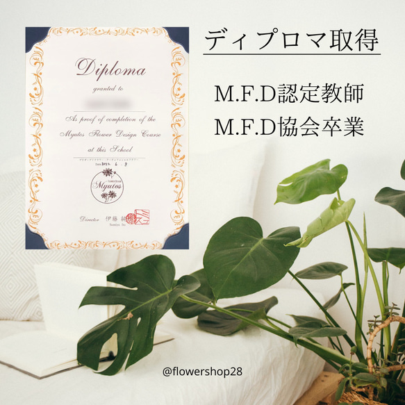  第12張的照片