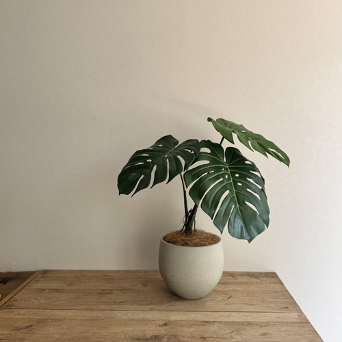 モンステラ】造花 フェイクグリーン 多肉植物 flowershop28 通販