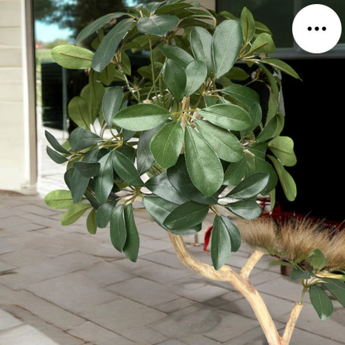 光触媒　人工観葉植物　ウォールグリーン　フェイクグリーン　カポック10350 光触媒 人工観葉植物 ウォールグリーン フェイクグリーン