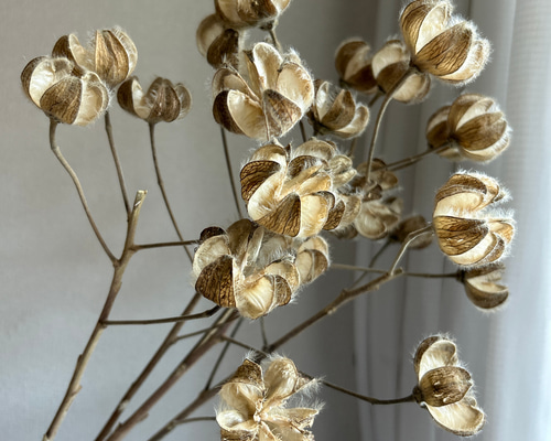 11a0127cc799ac20036aab1c207594