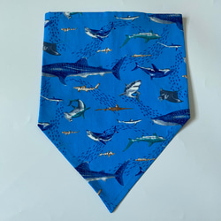 海の生き物サメ柄☆120〜130こどもエプロン、三角巾、巾着3点セット　 2枚目の画像