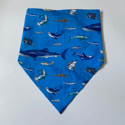 海の生き物サメ柄☆130〜140こどもエプロン、三角巾、巾着3点セット　 6枚目の画像