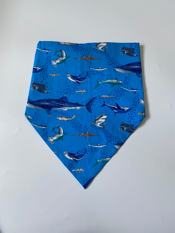 海の生き物サメ柄☆130〜140こどもエプロン、三角巾、巾着3点セット　 6枚目の画像